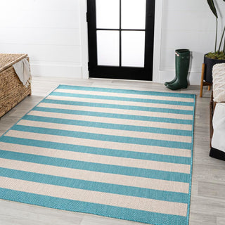 Amos Two-tone Wide Stripe Indoor/outdoor Area Rug