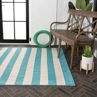 Amos Two-tone Wide Stripe Indoor/outdoor Area Rug