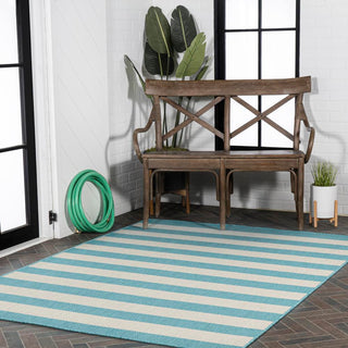 Amos Two-tone Wide Stripe Indoor/outdoor Area Rug