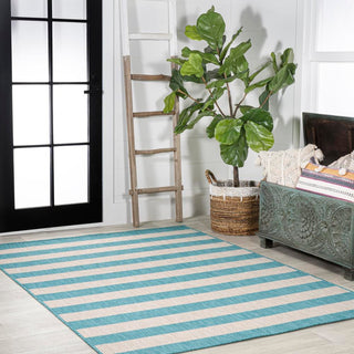 Amos Two-tone Wide Stripe Indoor/outdoor Area Rug