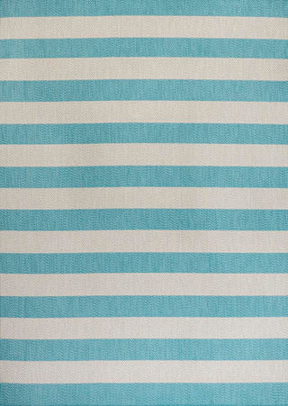 Amos Two-tone Wide Stripe Indoor/outdoor Area Rug