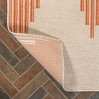 Walter Diamond Stripe Indoor/outdoor Area Rug