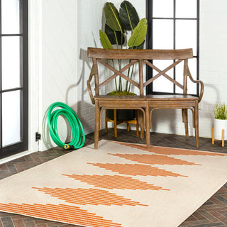 Walter Diamond Stripe Indoor/outdoor Area Rug