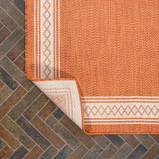 Kristine Classic Diamond Border Indoor/outdoor Area Rug