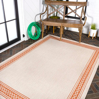 Kristine Classic Diamond Border Indoor/outdoor Area Rug