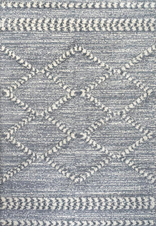 Dossi Moroccan Trellis High-low Area Rug