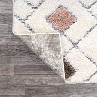 Ludwig Retro Trellis High-low Area Rug