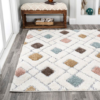 Ludwig Retro Trellis High-low Area Rug