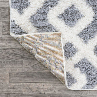 Ludwig Retro Trellis High-low Area Rug