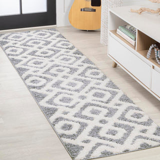 Ludwig Retro Trellis High-low Area Rug