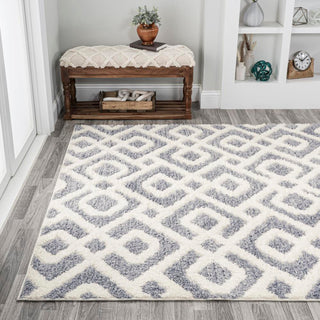 Ludwig Retro Trellis High-low Area Rug