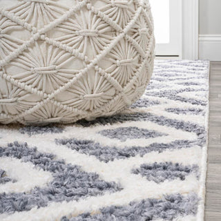 Ludwig Retro Trellis High-low Area Rug