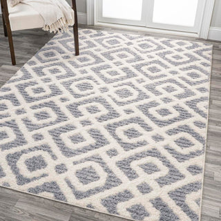 Ludwig Retro Trellis High-low Area Rug