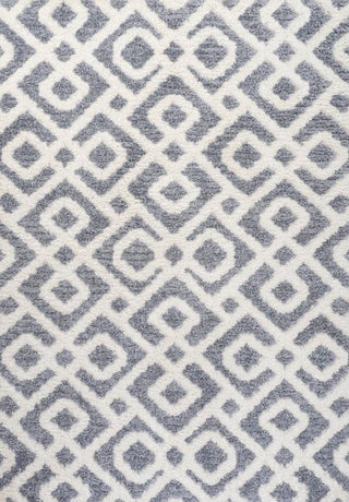 Ludwig Retro Trellis High-low Area Rug