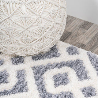 Ludwig Retro Trellis High-low Area Rug