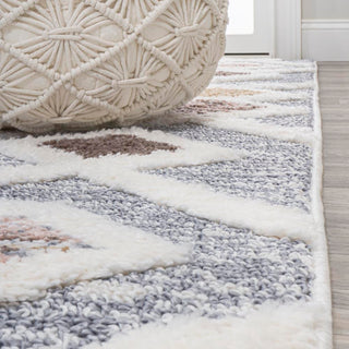 Shalon Trellis High-low Area Rug