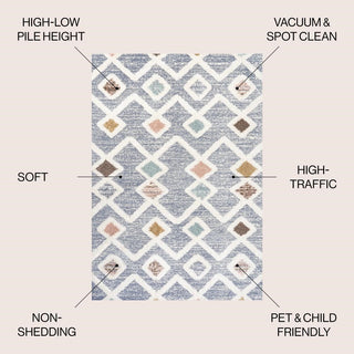 Shalon Trellis High-low Area Rug