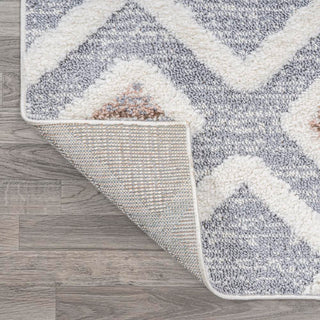 Shalon Trellis High-low Area Rug