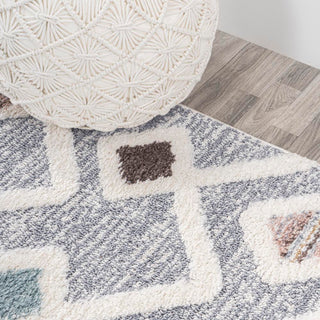 Shalon Trellis High-low Area Rug