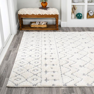 Zizi Moroccan Trellis Plush Carved Area Rug