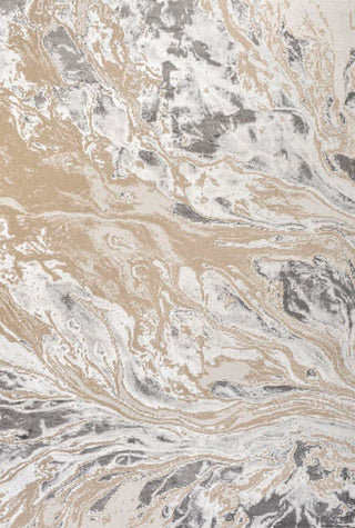 Batura Swirl Marbled Abstract Area Rug