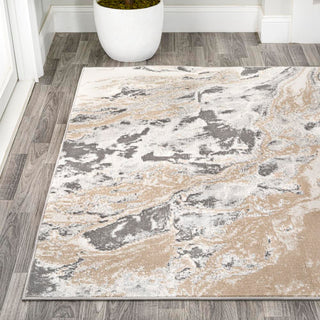 Batura Swirl Marbled Abstract Area Rug