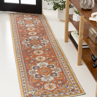 Langley Traditional Vintage Medallion Reversible Machine-Washable Indoor/Outdoor Area Rug