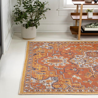 Langley Traditional Vintage Medallion Reversible Machine-Washable Indoor/Outdoor Area Rug