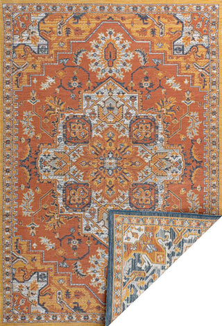 Langley Traditional Vintage Medallion Reversible Machine-Washable Indoor/Outdoor Area Rug