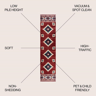 Aliyana Medallion Southwestern Area Rug