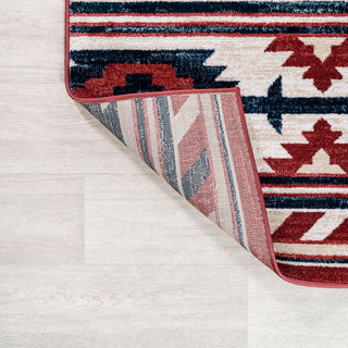 Aliyana Medallion Southwestern Area Rug