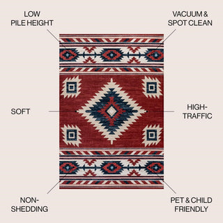 Aliyana Medallion Southwestern Area Rug