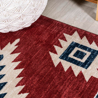 Aliyana Medallion Southwestern Area Rug