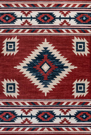 Aliyana Medallion Southwestern Area Rug