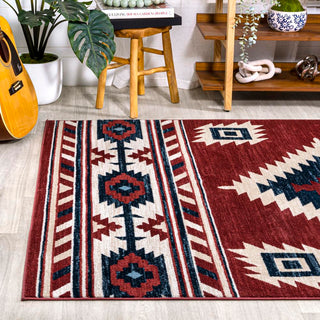 Aliyana Medallion Southwestern Area Rug