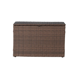 Nino 31.5" Modern Minimalist Outdoor Faux Wicker Deck and Patio Storage Box