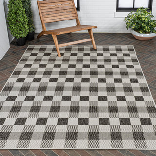 Courtyard Traditional Geometric Bold Gingham Indoor/Outdoor Area Rug