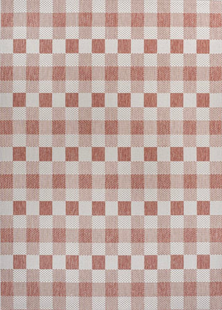 Courtyard Traditional Geometric Bold Gingham Indoor/Outdoor Area Rug