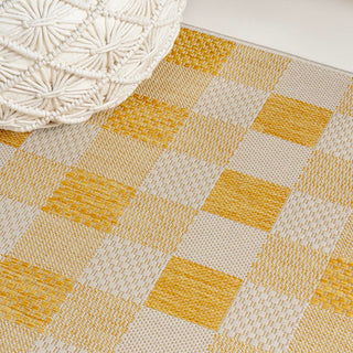 Courtyard Traditional Geometric Bold Gingham Indoor/Outdoor Area Rug