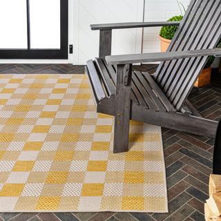 Courtyard Traditional Geometric Bold Gingham Indoor/Outdoor Area Rug