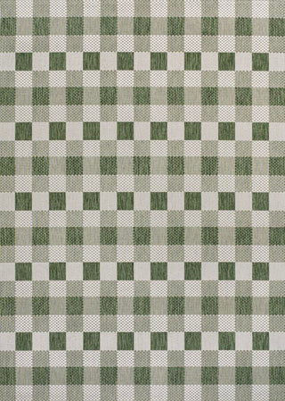 Courtyard Traditional Geometric Bold Gingham Indoor/Outdoor Area Rug