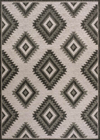 Antique Geometric Moroccan Diamond Indoor/Outdoor Area Rug