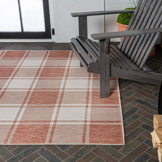 Acrylic Traditional Farmhouse Bold Gingham Indoor/Outdoor Area Rug