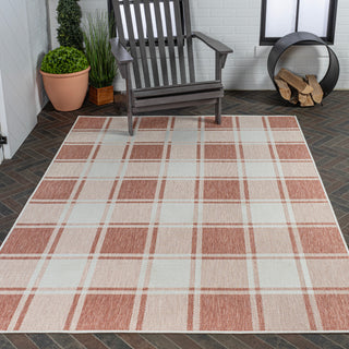 Acrylic Traditional Farmhouse Bold Gingham Indoor/Outdoor Area Rug