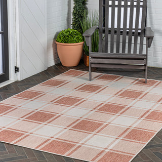 Acrylic Traditional Farmhouse Bold Gingham Indoor/Outdoor Area Rug