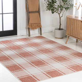 Acrylic Traditional Farmhouse Bold Gingham Indoor/Outdoor Area Rug