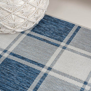 Acrylic Traditional Farmhouse Bold Gingham Indoor/Outdoor Area Rug