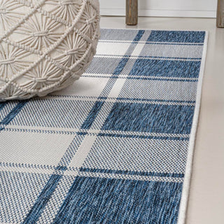 Acrylic Traditional Farmhouse Bold Gingham Indoor/Outdoor Area Rug