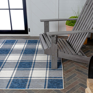 Acrylic Traditional Farmhouse Bold Gingham Indoor/Outdoor Area Rug