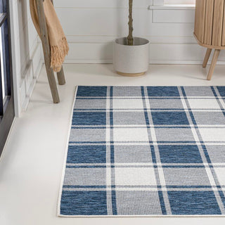 Acrylic Traditional Farmhouse Bold Gingham Indoor/Outdoor Area Rug